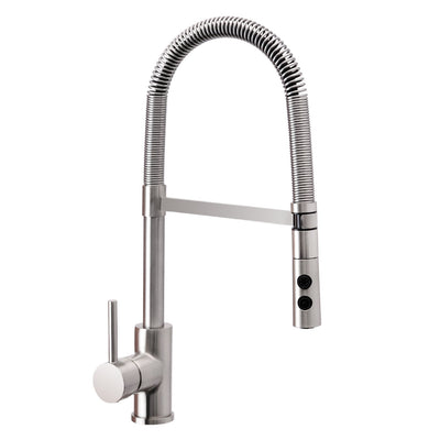 Wasserrhythm Pull out and Pull Down Sprayer Spring Kitchen Faucet Brushed Nickel with Escutcheon